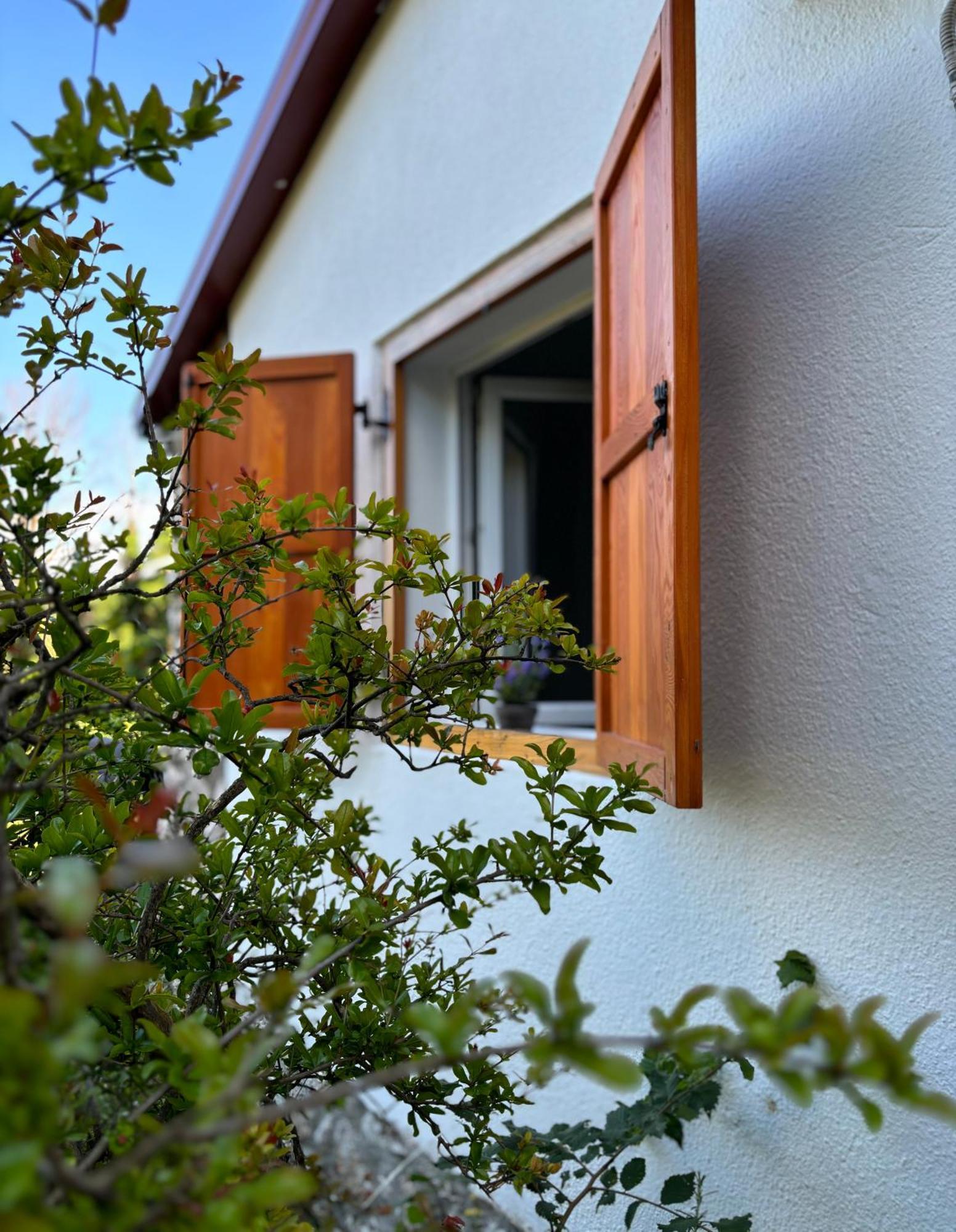 Solis Holiday home Brsec
